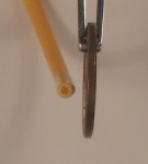 TEMPLE_COVERS.jpg (111303 bytes)