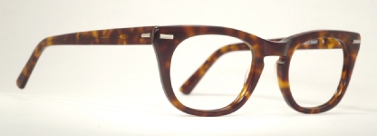 PLASTIC VINTAGE EYEGLASSES HINGE photo, under 350 kb